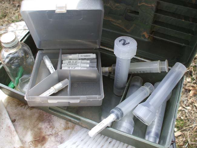 Extracting Skunk Essence (pics) | Trapping Archives